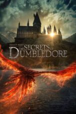 Fantastic Beasts 3 The Secrets of Dumbledore